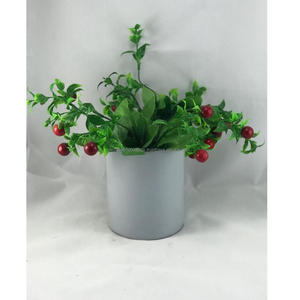 Macetero Cilíndrico de Hierro con Recubrimiento en Polvo de Alta Calidad, con Orificio de Drenaje, Diseño Moderno y Colorido, para Uso en Interiores y Exteriores, Decoración para Hogar, Jardín y Hotel - Product Image 3