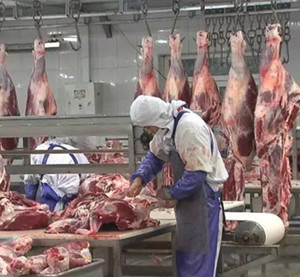 Línea de Sacrificio de Ganado Personalizable para Mataderos Modernos y Plantas de Procesamiento de Carne - Product Image 4