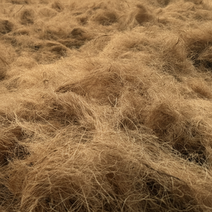 Fibre de noix de coco pour le remplissage brun doré, nettoyé, longueur de 5 à 25cm, balles de 100kg pour usage industriel - Product Image 1
