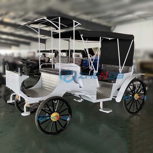 Black Sunshade Electric <b>Double</b>-row Sightseeing Carriage/leisure Sightseeing Carriage Sells Well - Product Image 5