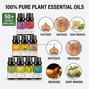 Aceites Esenciales 100% Puros de Plantas al por Mayor, 10 ml, Aceite de Aromaterapia Orgánico para Difusor y <span class=keywords><strong>Humidificador</strong></span>, Marca Privada OEM, Aceite de Fragancia - Product Image 2
