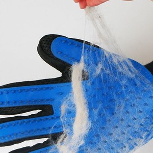Gants de toilettage pour chat bleus, pour main gauche et droite, en velours, pour l'élimination des poils, essentiels pour chiens et chats - Product Image 1