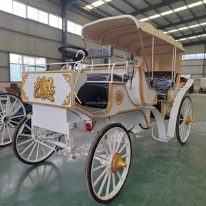 Auto di trasporto speciali usate/carrozza di lusso elettrica di lusso retrò/carrozza reale di alta qualità per la vendita - Product Image 1