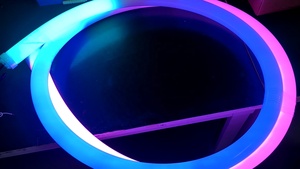 Smart Magic Addressable <strong>RGB</strong> Neon Light Ws2811 TM1914 DMX512 <strong>RGB</strong> RGBW IC Silicone <strong>LED</strong> Neon Lights - Product Image 5