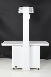 Hochey attrezzatura veterinaria medica AI funzione clinica per animali domestici dispositivo digitale a raggi X veterinario - Product Image 4