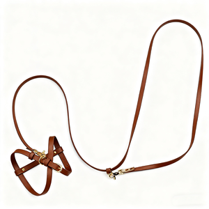 Ensemble de laisse et collier pour <span class=keywords><strong>chien</strong></span> avec motif personnalisé, harnais de luxe pour <span class=keywords><strong>chien</strong></span>, collier et laisse pour <span class=keywords><strong>chien</strong></span> de petite et moyenne taille - Product Image 3