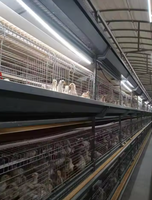 Cage à poussins en treillis soudé, empilable, multicouche, avec filet de roulage des œufs, cage d'élevage à domicile, soudage
