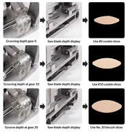 Biscuits de jonction automatiques pour panneaux de bois, pièces de chevilles en bois de hêtre, machine à rainurer pour le bricolage du bois, lot de 100 pièces