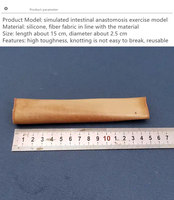 Science médicale fin anastomose intestinale modèle de formation kit de pratique de suture simulateur de formation de suture vulvaire