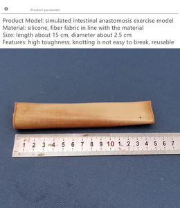Medizinisches Scienceend-Darm-Anastomose-Trainings modell Nahtübungs-Kit <span class=keywords><strong>Vulva</strong></span>-Naht-Trainings simulator - Product Image 3