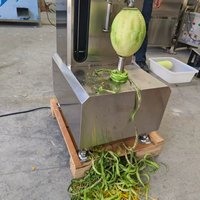 Éplucheur et trancheur électrique de mangues pour la préparation de chips, machine à éplucher les fruits et légumes verts crus