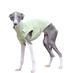 Gilet de protection solaire estival pour chien de type Greyhound <span class=keywords><strong>italien</strong></span> et Whippet, en polyester moderne, avec capuche, anti-salissures, pour les sorties et Halloween - Product Image 1