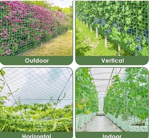 Filet de jardin réutilisable d'approvisionnement d'usine pour la protection des <span class=keywords><strong>plantes</strong></span> insecte concombre haricot vert - Product Image 5