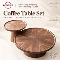 Ensemble de tables basses rondes, design minimaliste moderne du milieu du siècle, design créatif, meubles de salon, OEM ODM, vente en gros directe d'usine