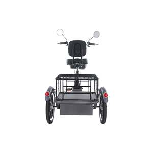 Tricycle cargo électrique pliable à moteur moyeu sans balais 48V 350W, propulsion arrière, capacité de charge 200 kg, autonomie 100-150 km, châssis en acier, ouvert/fermé, batterie 22Ah - Product Image 5