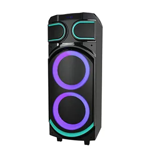 Karaoke Dj Hifi Trolley Usb Sd Card Colorful Lights Audio Boombox Dual 8 Inch Input Remote Control Wired Microphone Speaker