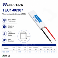 Refroidisseur TEC d'intérieur TEC1-06307 20x40x3.7 mm 7.64 V 7 A pour le contrôle de la température des dispositifs médicaux