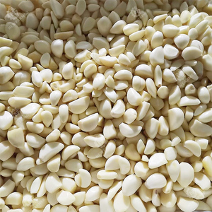 Machine à éplucher l'ail semi-automatique 30KG/H avec conception à faible <span class=keywords><strong>bruit</strong></span>, éplucheur d'ail, éplucheur de peau pour les petites entreprises alimentaires - Product Image 6