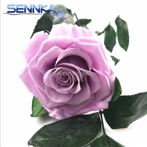 <span class=keywords><strong>Bouquet</strong></span> de fleurs conservées à longue tige pour importateurs de fleurs de Dubaï - Product Image 2