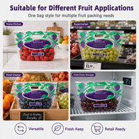 Sacs à poignée ventilés pour fruits, personnalisés par le fabricant, en CPP recyclable, de qualité alimentaire, pour emballage de raisins