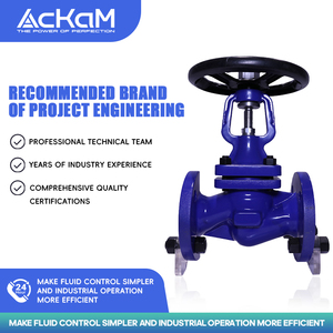 Hiệu suất niêm phong tốt an toàn cầu dừng van độ chính xác cao ống thổi Van cầu - Product Image 4