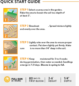 ดอกไม้ป่า Burpee 25,000 1ถุงผสมเกสรดอกไม้สำหรับสวนผสมเกสร18ชนิดไม่ใช่จีเอ็มโอ - Product Image 6