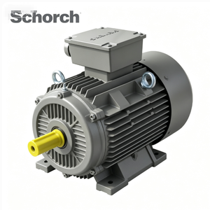 Motor Trifásico de CA de Velocidad Variable de 380V, Resistente al Agua, de las Marcas Schorch, ATB, BALDOR, VEM y BROOK, de 20HP, 50HP y 10HP - Product Image 1