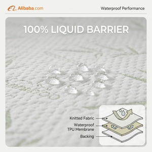Funda de colchón impermeable de bambú ecológica, hipoalergénica, con <span class=keywords><strong>barrera</strong></span> líquida y silenciosa, protector de cama. - Product Image 5