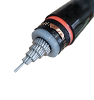 Cables de Potencia de Media Tensión MV 12kV 24kV 35kV NA2XS2Y NA2XS(F)2Y NA2XSH 1x35 1x400mm XLPE PVC Blindados Estándar IEC