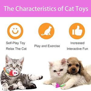 Jouets interactifs pour chats à prix d'usine, petite souris de chasse pour chat, jouets à plumes colorées, jouets à mâcher pour chiens ou chats - Product Image 4