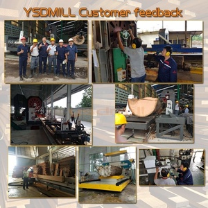 Sistema Automatico di Carico Tronchi YSDMILL, Segheria a Nastro Verticale con Carrello per Tronchi - Product Image 6