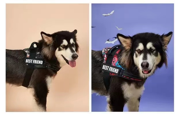 Nice Quality Hot Selling Durable Vest Style Adjustable Nylon Anti- Rushed Walking Harness For Large Dog