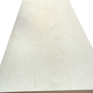Chapa de Abedul Ecológica Moderna al por Mayor de 3mm 6mm 18mm <span class=keywords><strong>BB</strong></span>/CP E0, Contrachapado de Abedul Báltico - Product Image 2