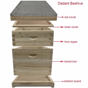 Caja <span class=keywords><strong>de</strong></span> Colmena <span class=keywords><strong>de</strong></span> Abejas Dadant Personalizada Beestar 2026 <span class=keywords><strong>de</strong></span> Alta Calidad en Oferta, Kit <span class=keywords><strong>de</strong></span> Colmena <span class=keywords><strong>de</strong></span> Abejas <span class=keywords><strong>de</strong></span> Madera Sin Ensamblar para Apicultura - Product Image 2