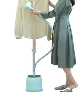 Yeni takım elbise mini ev kullanımı 2 düz asılı fırça konfeksiyon buharlayıcı için dikey kumaş Nvision vapeur buhar