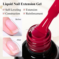 Gel d'extension d'ongles liquide en gros, non-jaunissant, pour usage en salon, logo personnalisé OEM ODM, vernis gel en gros
