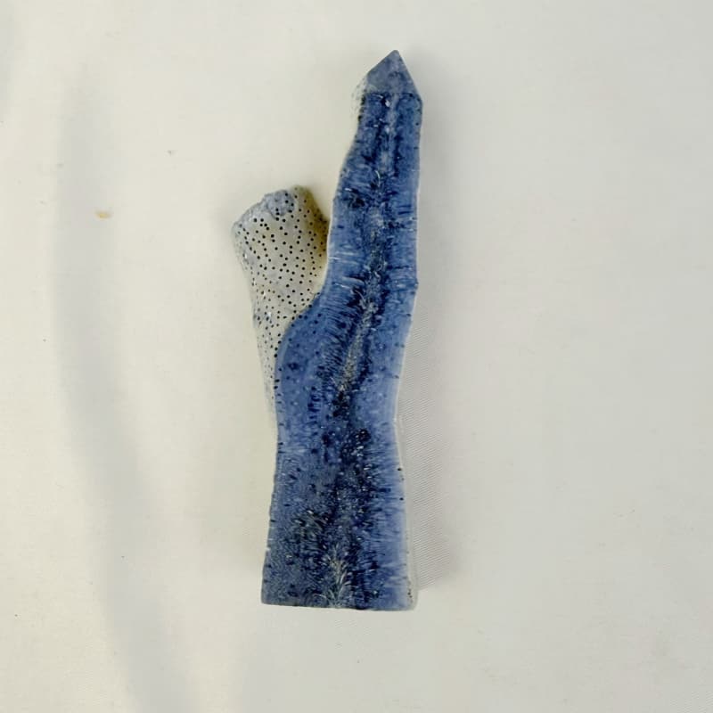 Blue coral raw tower