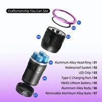 Senter Identifikasi UV Paduan Aluminium 365nm Deteksi Ultraviolet Dapat Diisi Ulang IP55 untuk Verifikasi Uang Kertas, Alkohol, dan Batu Permata