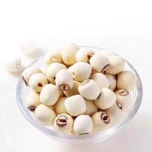 Sementes de Lótus Brancas por Atacado, Sementes de Lótus Secas a Granel para Assar, Cozinhar, Chá de Ervas, Saúde do Coração e Auxílio ao Sono. Alta Qualidade - Product Image 6