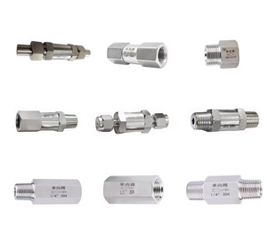 วาล์วกันกลับแบบสปริง BSPP NPT เกลียวใน วาล์วกันกลับแบบสปริง<span class=keywords><strong>โหลด</strong></span> สแตนเลส 304 วาล์วกันกลับสำหรับน้ำมันและก๊าซ - Product Image 1