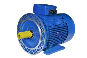 มอเตอร์เหนี่ยวนำไฟฟ้ากระแสสลับแบบไร้แปรงถ่าน Hongma Y200L-8 15KW 20HP 380V 7500RPM สามเฟส IP55 โครงเหล็กหล่อ 50/60Hz - Product Image 4