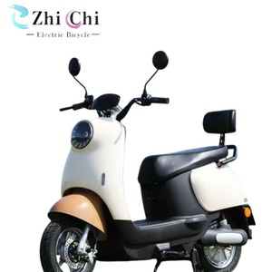 Moto électrique EBIKE 48V 350W avec moteur sans balais, batterie 20Ah, double suspension, autonomie de 60 km, coussin confortable, directement de l'usine européenne - Product Image 4