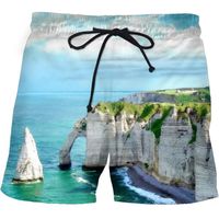 Celana pendek pantai cepat kering pria, disesuaikan longgar desain kartun 3D ukuran besar tahan air lima perempat celana pendek renang untuk ukuran Plus