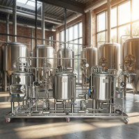 Fermenteur conique en acier inoxydable 50L 100L 200L pour brassage artisanal de bière à domicile