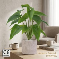 Tanaman Calathea Hijau Buatan 40cm, Daun Berbentuk Hati dari Kertas, Urat Realistis, Pot Tekstur Batu, Kerikil Putih, Custom OEM untuk Rumah