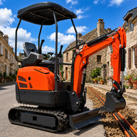 Mini-excavatrice 0.8 1.2 1.6 1.7 4 tonnes, avec moteur Kubota Euro V, outils de terrassement, capot, râteau de labour, ripper, pelle, neuve