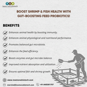 สารเสริมอาหารปลาที่เป็นมิตรต่อสิ่งแวดล้อม โปรไบโอติกเสริมสำหรับการเพาะเลี้ยงสัตว์น้ำอย่างยั่งยืน - Product Image 1