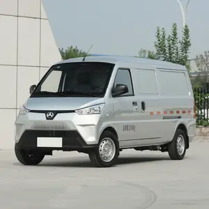2020 modeli Mini elektrikli araç Baic Hippo pikap ucuz elektrikli Mini araba Baic Leichi Mini Van kamyon kullanılan elektrikli arabalar