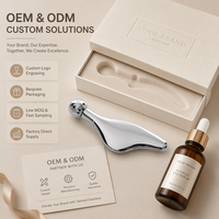 Masseur facial en forme d'aile, rouleau à facettes en alliage de zinc, outil pour le contour des yeux, finition miroir, logo personnalisé, vente en gros