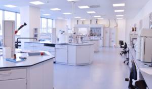 OEM creatina pó para adultos Sports Nutrition suplemento reforçado com zinco e magnésio - Product Image 4